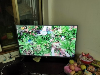 TCL43V2怎么样