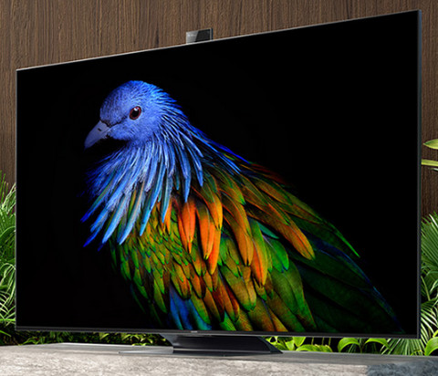  55寸电视机哪个品牌好性价比高，目前口碑最好的电视机55寸