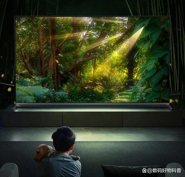 现在电视机哪个品牌比较好，什么电视机质量好性价比高